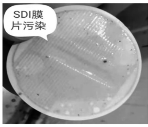 图8 SDI 膜片表面污染严重